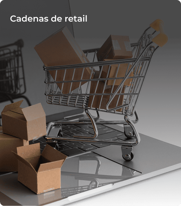 05. Cadenas de retail